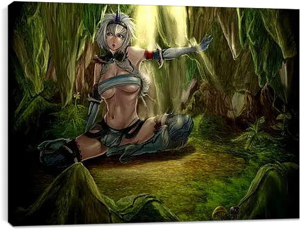 Постер на подрамнике - Амазонка