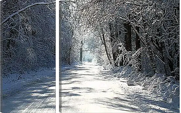 Модульная картина - Зима