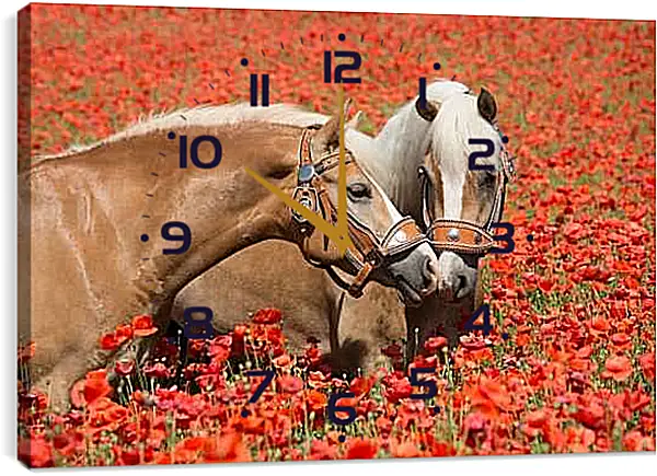 Часы картина - Пара лошадей в маковом поле