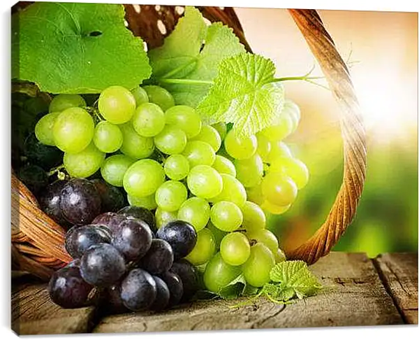 Постер на подрамнике - Виноград в корзине и луч солнца. Виноградное Изобилие.