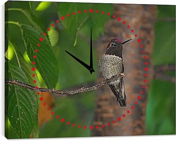 Часы картина - Колибри
