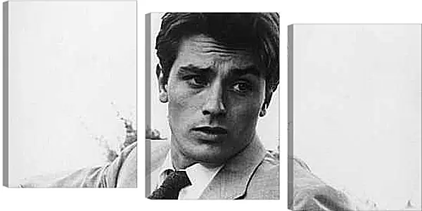 Модульная картина - Ален Делон. Alain Delon