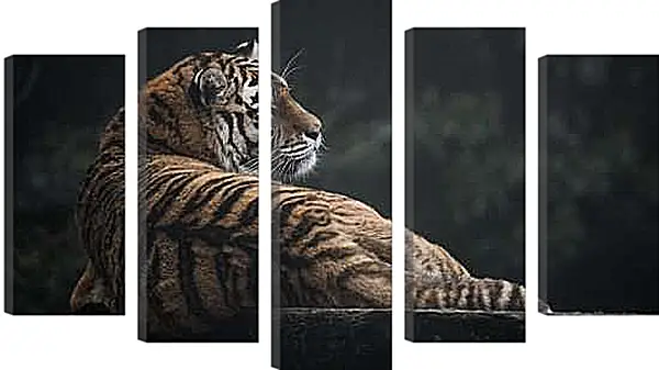 Модульная картина - Коричневый тигр. Большая кошка