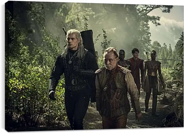 Постер на подрамнике - Ведьмак. The Witcher