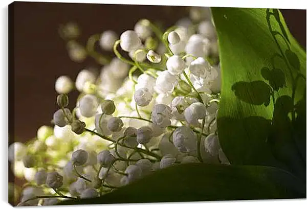 Постер на подрамнике - Весна