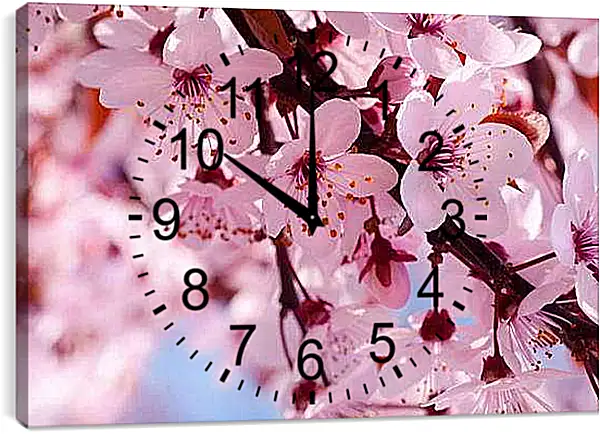 Часы картина - Вишня весной
