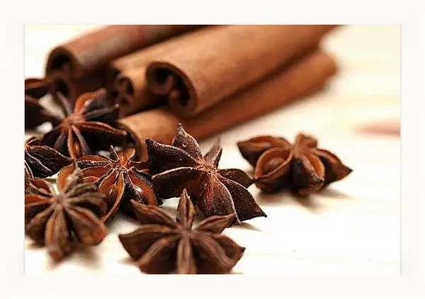 Картина в раме - Анис и корица. Ароматная симфония.
