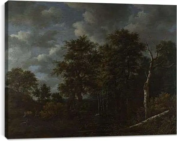 Постер на подрамнике - A Pool surrounded by Trees. Якоб ван Рейсдал