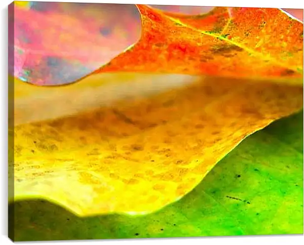 Постер на подрамнике - Осень