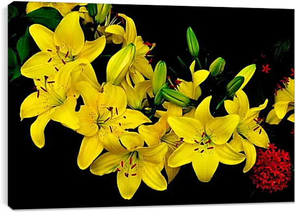 Постер на подрамнике - Желтые лилии