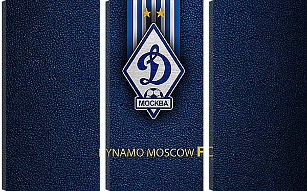Модульная картина - Эмблема ФК Динамо Москва