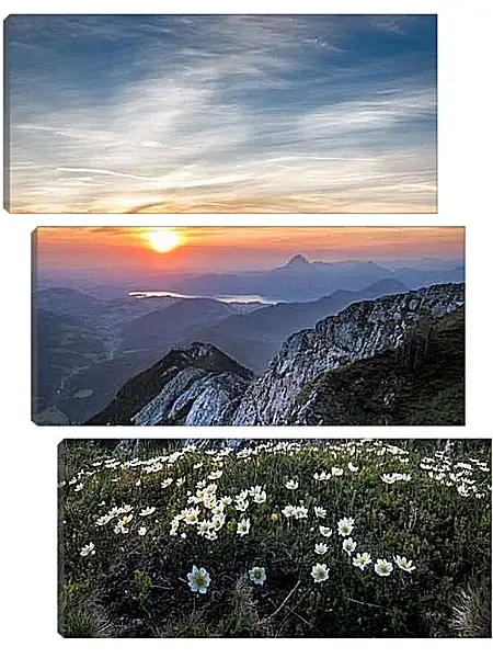 Модульная картина - Закат и цветы