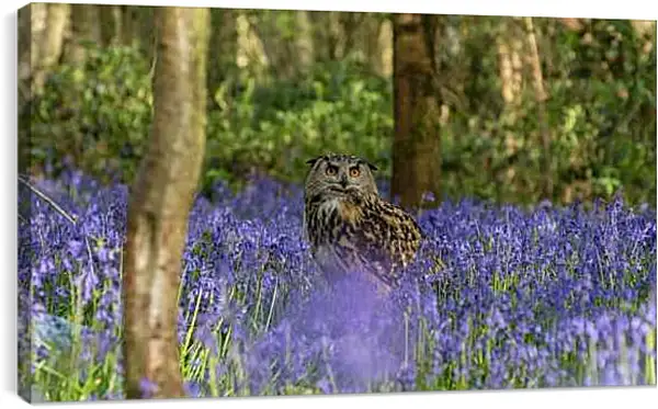 Постер на подрамнике - Сова в цветах