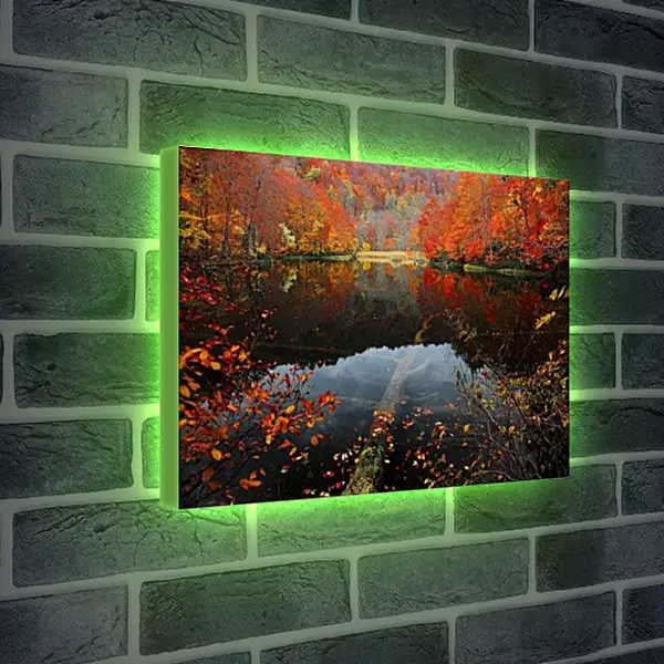 Лайтбокс световая панель - Осень