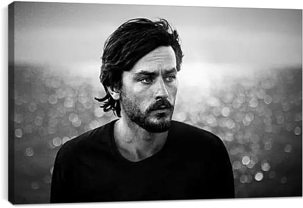 Постер на подрамнике - Ален Делон. Alain Delon
