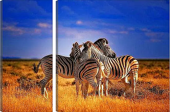 Модульная картина - Зебры