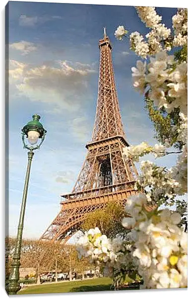 Постер на подрамнике - Весна