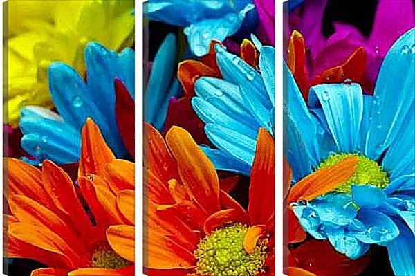 Модульная картина - Разноцветные герберы