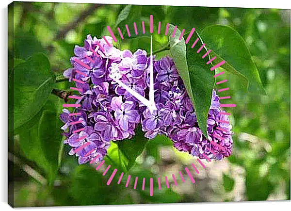 Часы картина - Веточка сирени
