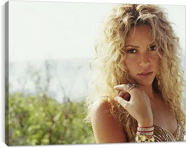 Постер на подрамнике - Shakira - Шакира
