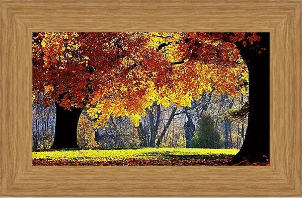 Картина в раме - Осень