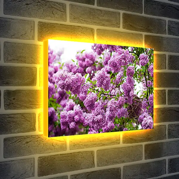 Лайтбокс световая панель - Весна