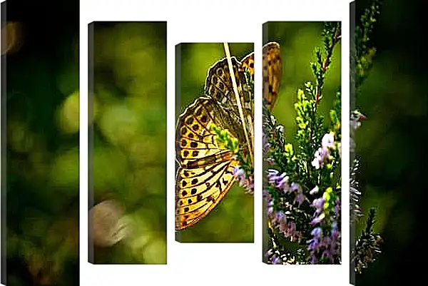 Модульная картина - Желтая бабочка