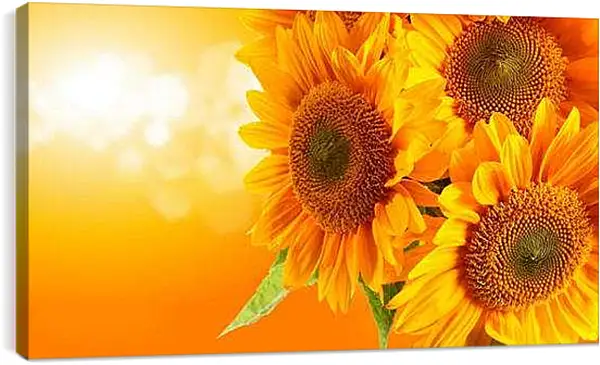 Постер на подрамнике - Подсолнухи