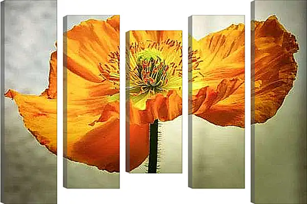 Модульная картина - ЖелтыЙ мак