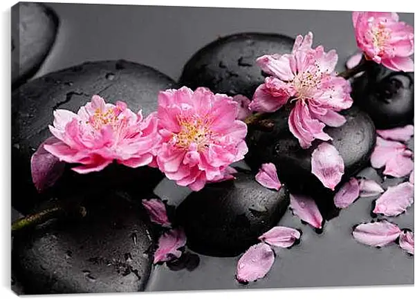 Постер на подрамнике - Цветы на камнях