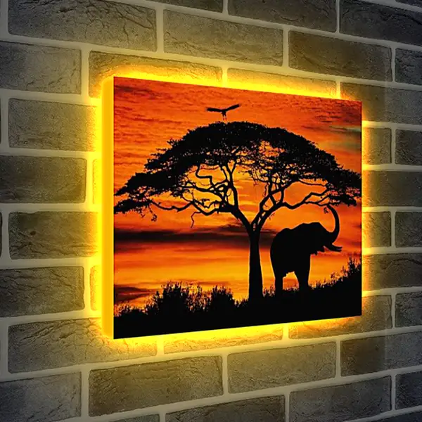 Лайтбокс световая панель - Африка. Закат