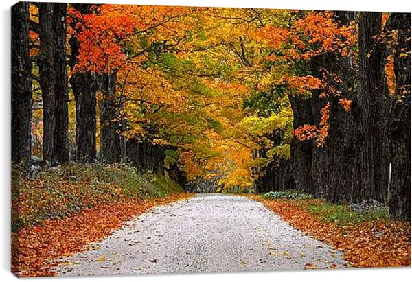 Постер на подрамнике - Осень
