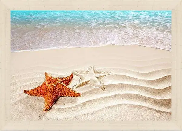 Картина в раме - Морская звезда