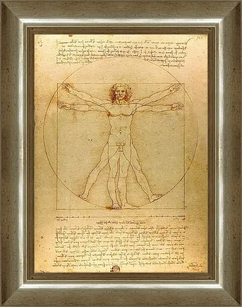 Картина в раме - Витрувианский человек. Леонардо Да Винчи