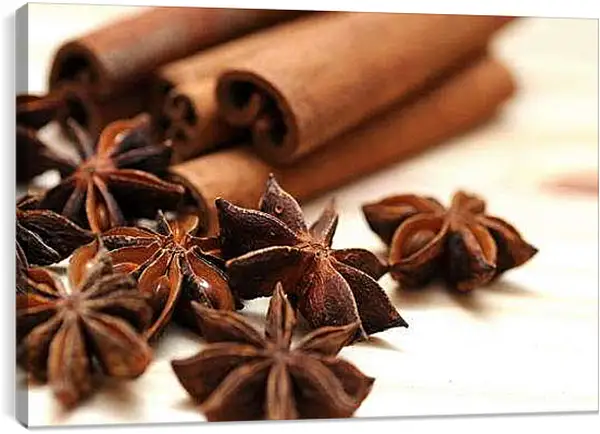Постер на подрамнике - Анис и корица. Ароматная симфония.