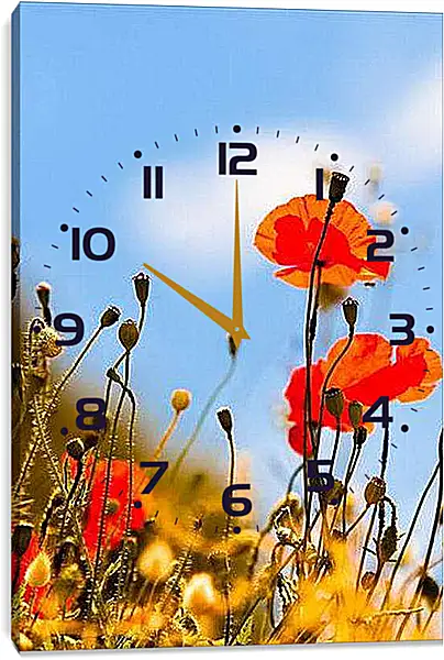 Часы картина - Маки