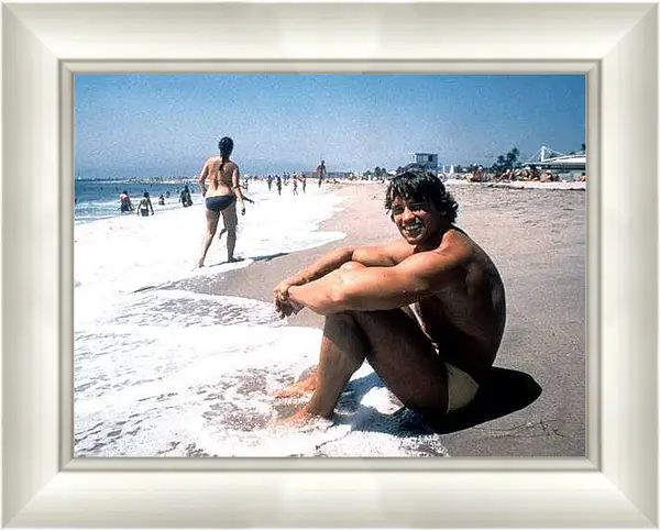 Картина в раме - Арнольд Шварценеггер (Arnold Schwarzenegger)