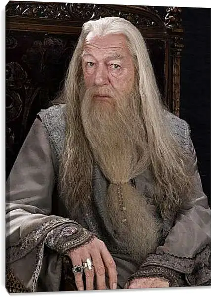 Постер на подрамнике - Дамблдор