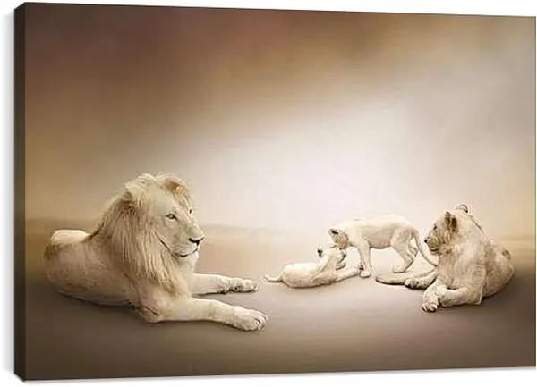 Постер на подрамнике - Львы
