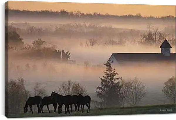 Постер на подрамнике - Лошади в деревне