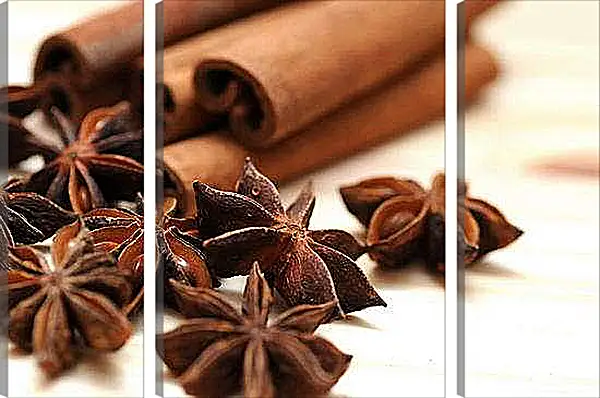 Модульная картина - Анис и корица. Ароматная симфония.