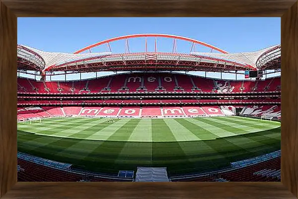 Картина в раме - Внутри стадиона