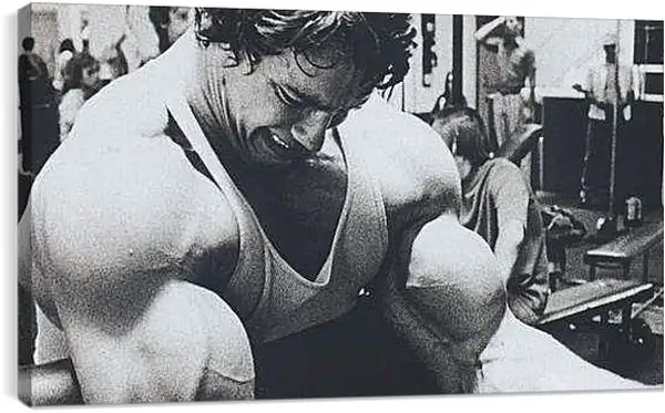Постер на подрамнике - Арнольд Шварценеггер (Arnold Schwarzenegger)