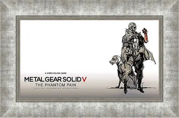 Картина в раме - Metal Gear Solid V: The Phantom Pain
