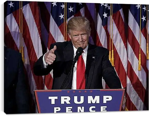 Постер на подрамнике - Дональд Трамп 45-й президент США