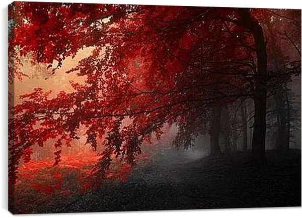 Постер на подрамнике - Красная осень