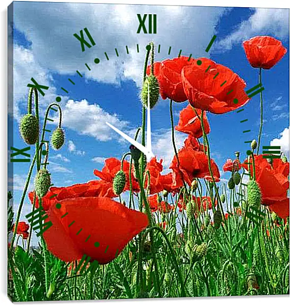 Часы картина - Маки с низу