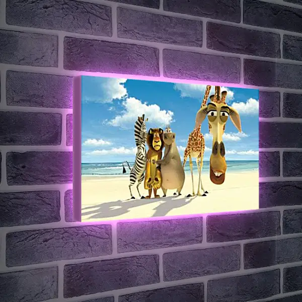 Лайтбокс световая панель - Мадагаскар