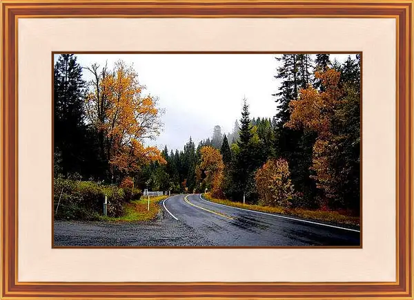 Картина в раме - Осень