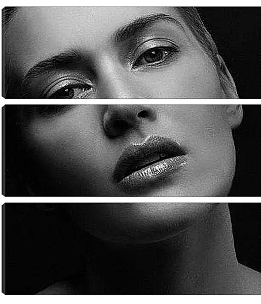 Модульная картина - Kate Winslet - Кейт Уинслет
